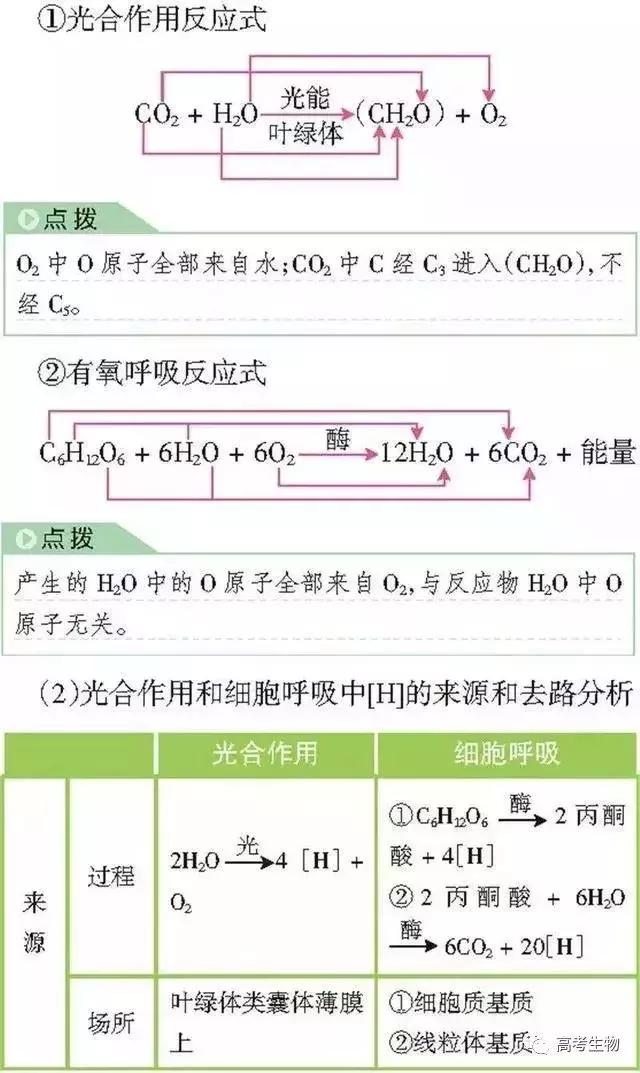 备考指南｜搞懂这9个题型，生物高分妥妥的！