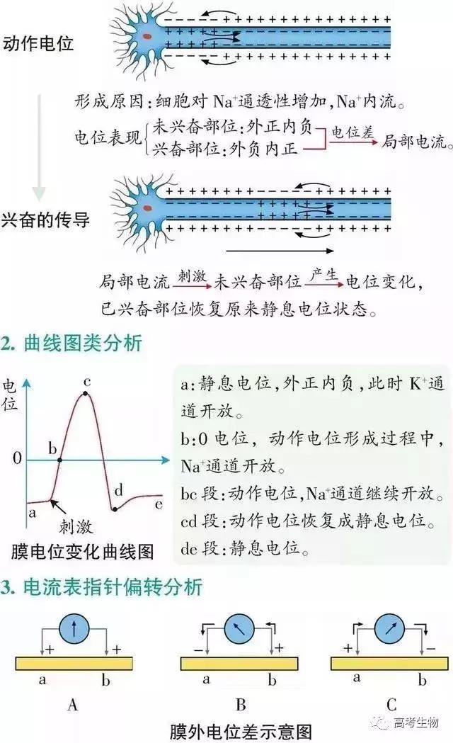 备考指南｜搞懂这9个题型，生物高分妥妥的！