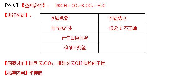 2017年全国中考化学真题汇编——实验探究题