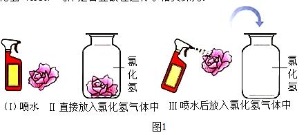 2017年全国中考化学真题汇编——实验探究题