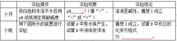 2017年全国中考化学真题汇编——实验探究题