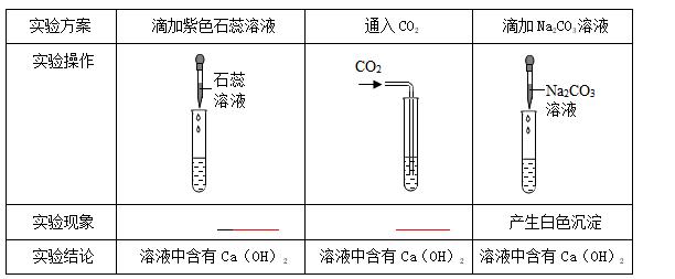 2017年全国中考化学真题汇编——实验探究题