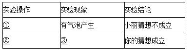 2017年全国中考化学真题汇编——实验探究题