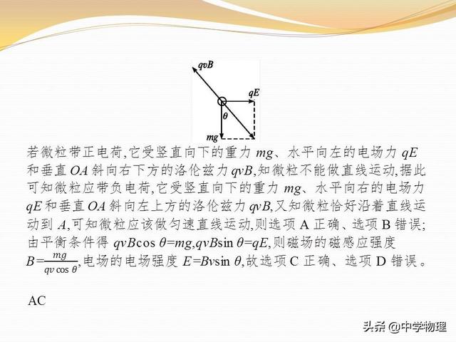 高考物理专题复习6《带电粒子在复合场中的运动》高三必备