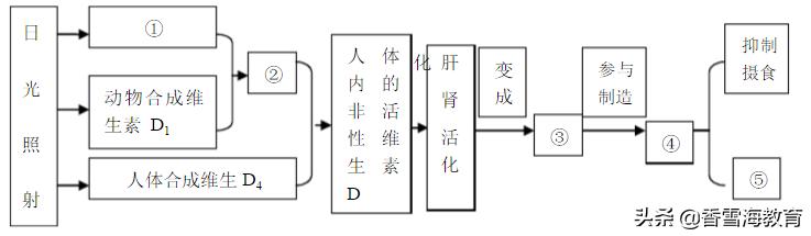 重庆市2018年初中学业水平暨高中招生考试语文试题（B卷）解析