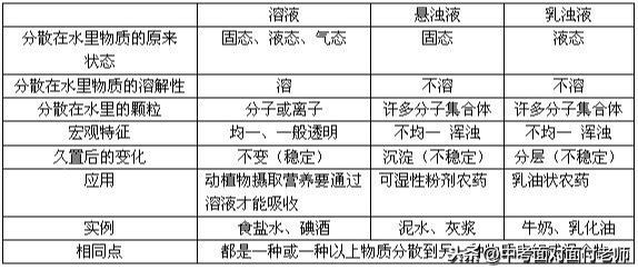 初三化学《溶液》考点总结（附模拟卷）