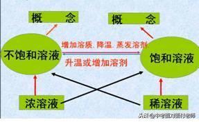 初三化学《溶液》考点总结（附模拟卷）