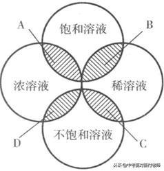 初三化学《溶液》考点总结（附模拟卷）