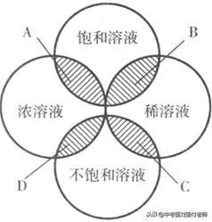 初三化学《溶液》考点总结（附模拟卷）