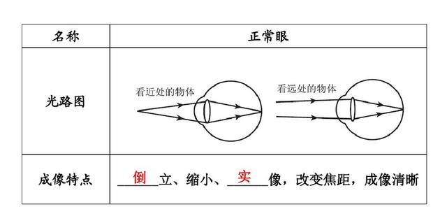 初中物理-光学成像原理图汇总