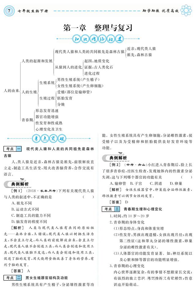 生物老师力荐：最新版七年级生物下册复习资料大全，期中考试必备