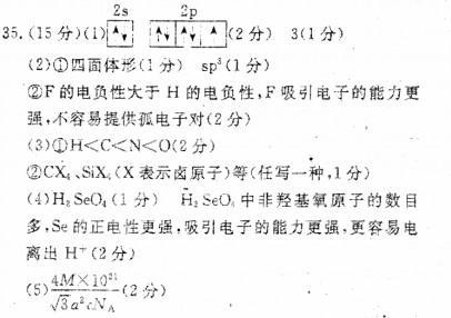 高三化学——二轮复习模拟题