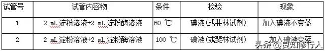 高中生物：20个实验重点知识汇总，查漏补缺必备！