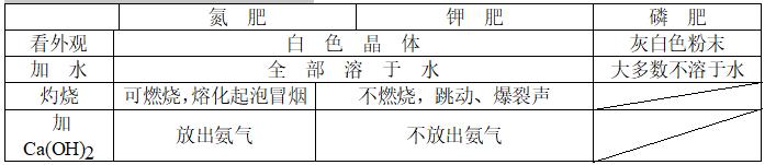 2019年中考化学专题：盐和化肥知识点归纳（超详细，经典！！！）