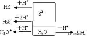 高中化学：溶液中离子浓度大小的比较及其规律