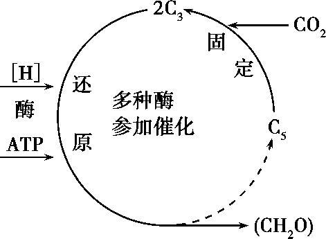 2019高中生物复习冲刺，热点题型突破！