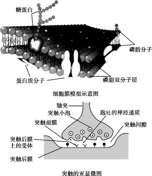 2019高中生物复习冲刺，热点题型突破！