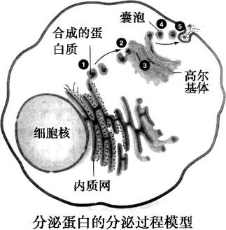 2019高中生物复习冲刺，热点题型突破！