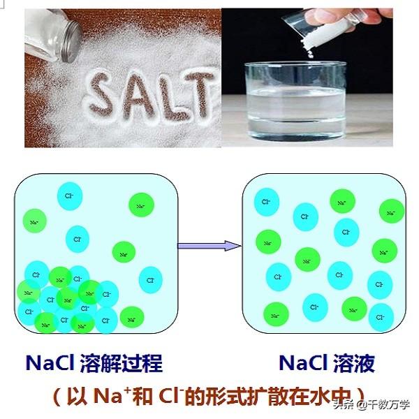 初三化学下册，溶液的定义与溶液的特征讲解