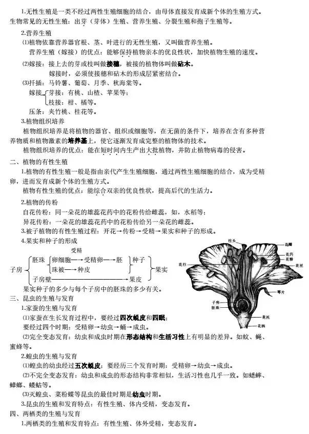 初中生物七-八年级各单元知识点复习提纲!