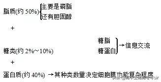 高中生物·细胞膜的结构和功能