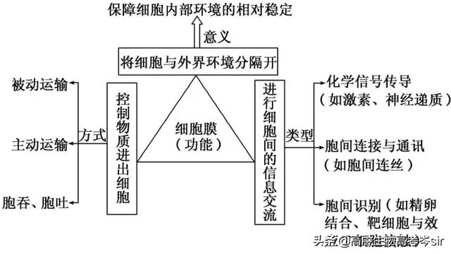 高中生物·细胞膜的结构和功能