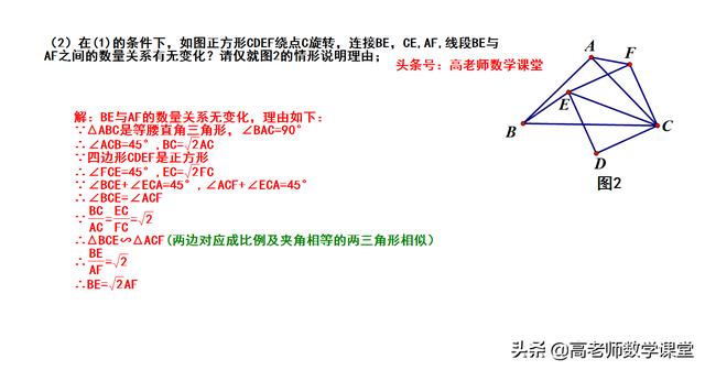 2019中考24题，综合与实践，一共四问，含最值问题.