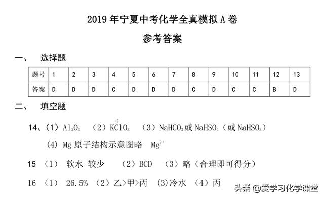 2019中考化学全真模拟A卷-你未曾见过的创新题