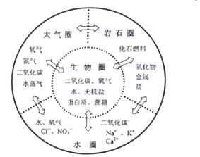 2018年中考化学试题分项版解析汇编：专题3.1 构成物质的微粒