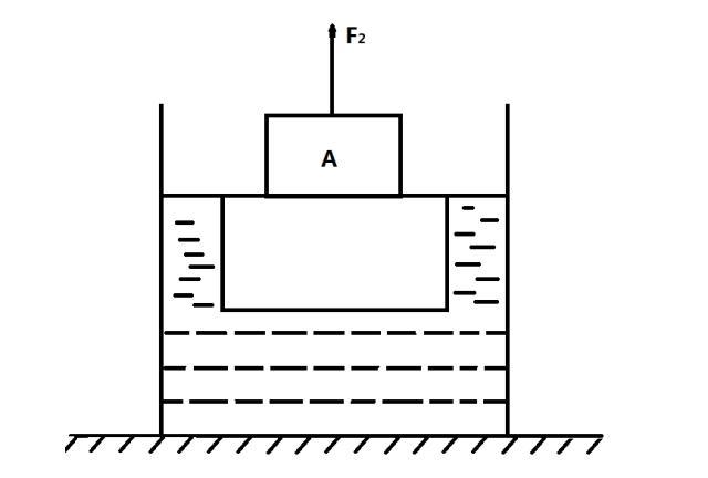 八年级物理难题解析：浮力比值问题，老师，掌握方法提高期末成绩