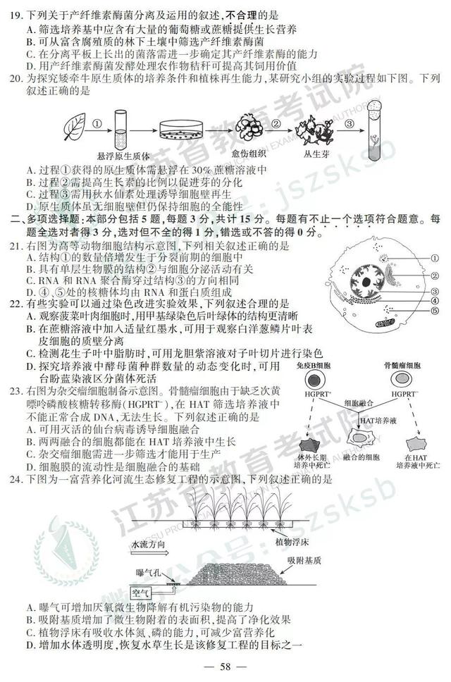 2019江苏高考物理、化学、生物试题+答案