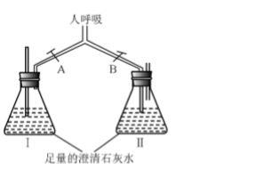 初三化学预习笔记8：初识科学探究