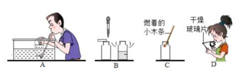 初三化学预习笔记8：初识科学探究