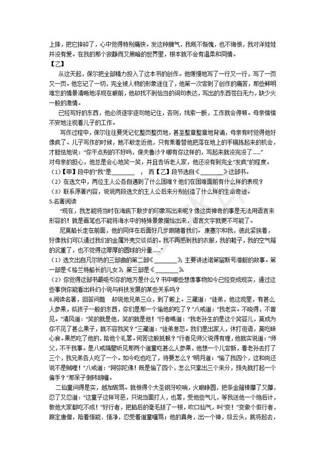 备战中考语文能力提升练习专题名著导读