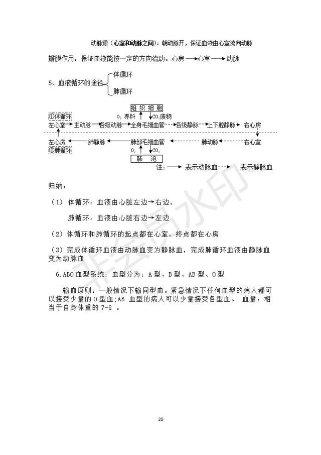 人教版七年级上册生物总复习知识点