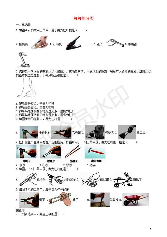 中考物理知识点全突破系列专题杠杆的分类