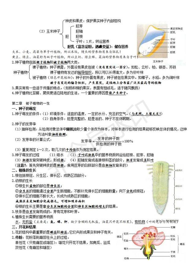 人教版七年级生物复习提纲