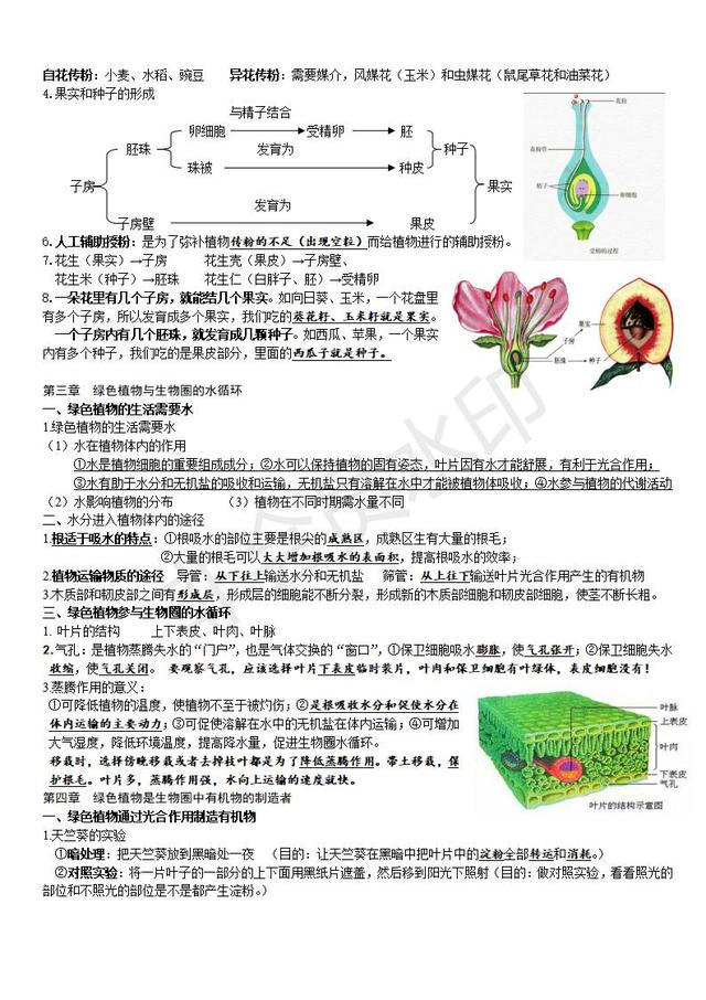 人教版七年级生物复习提纲