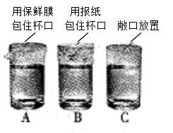 2019年中考化学专题突破：食品包装探究