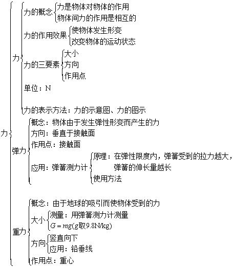 中考九年级物理基础知识手册：第七章  力