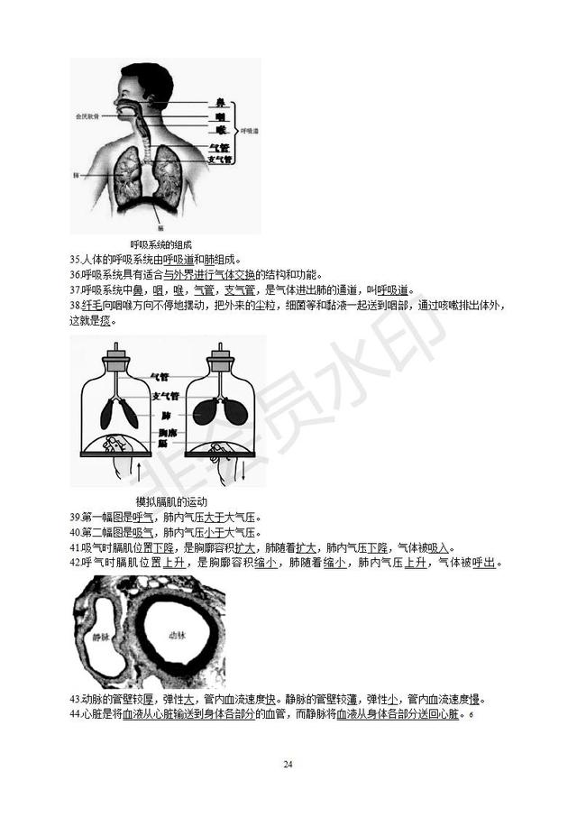 初中生物知识点总复习资料