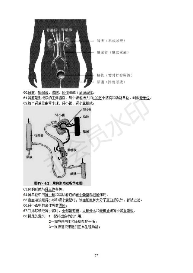 初中生物知识点总复习资料