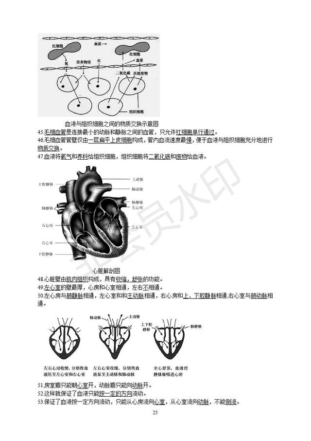 初中生物知识点总复习资料