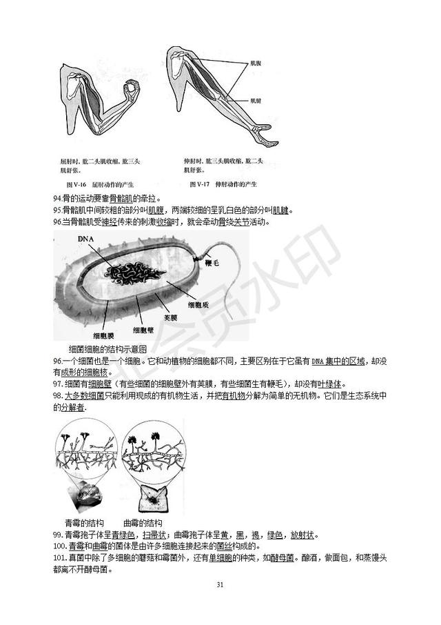 初中生物知识点总复习资料