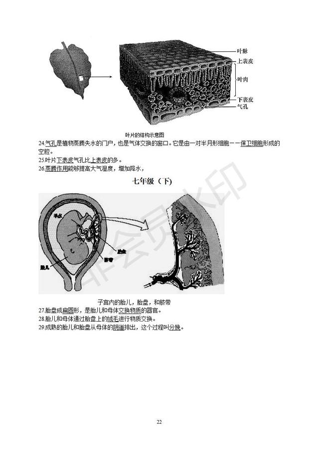 初中生物知识点总复习资料