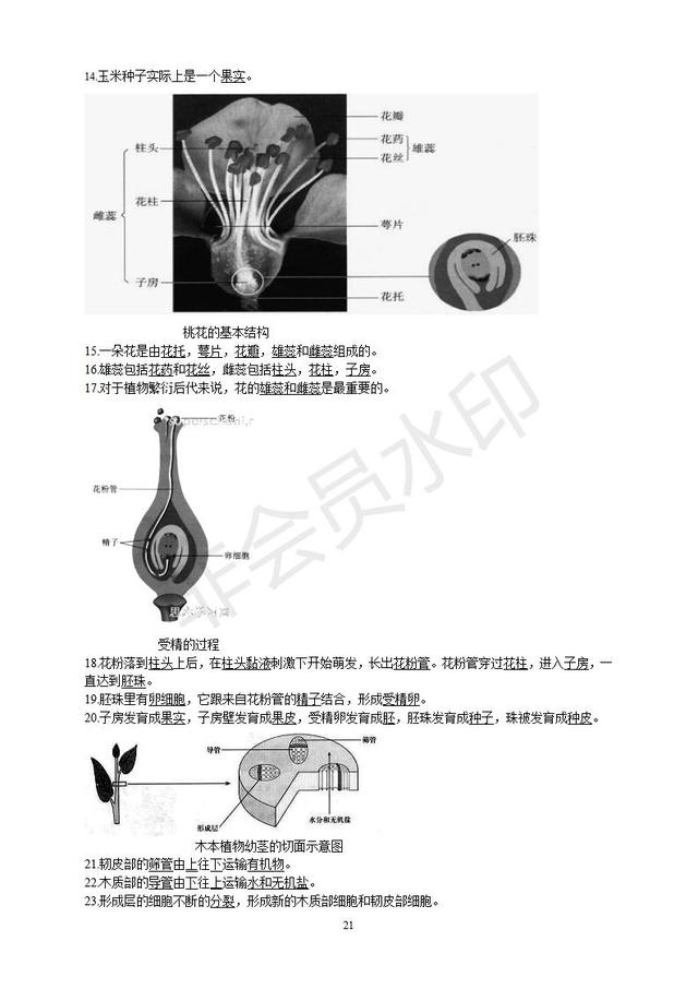 初中生物知识点总复习资料