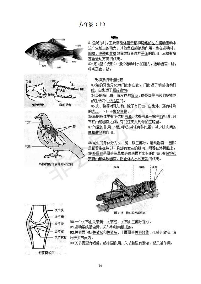 初中生物知识点总复习资料