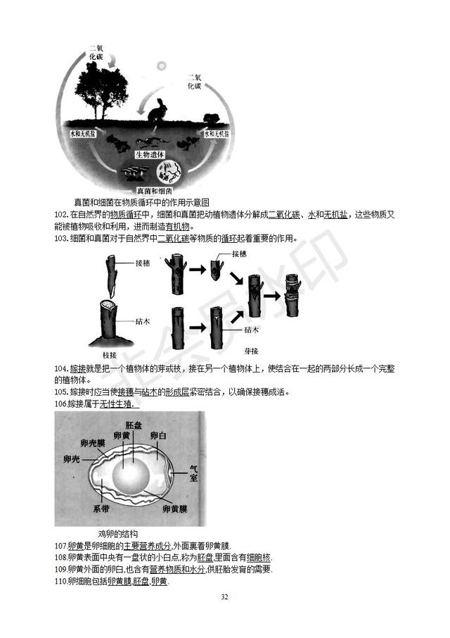 初中生物知识点总复习资料