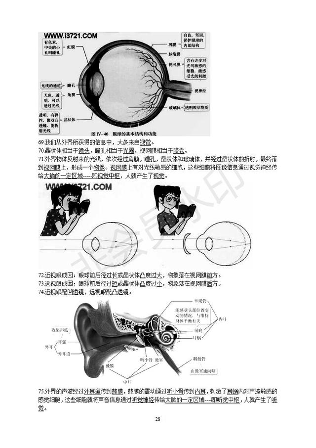 初中生物知识点总复习资料