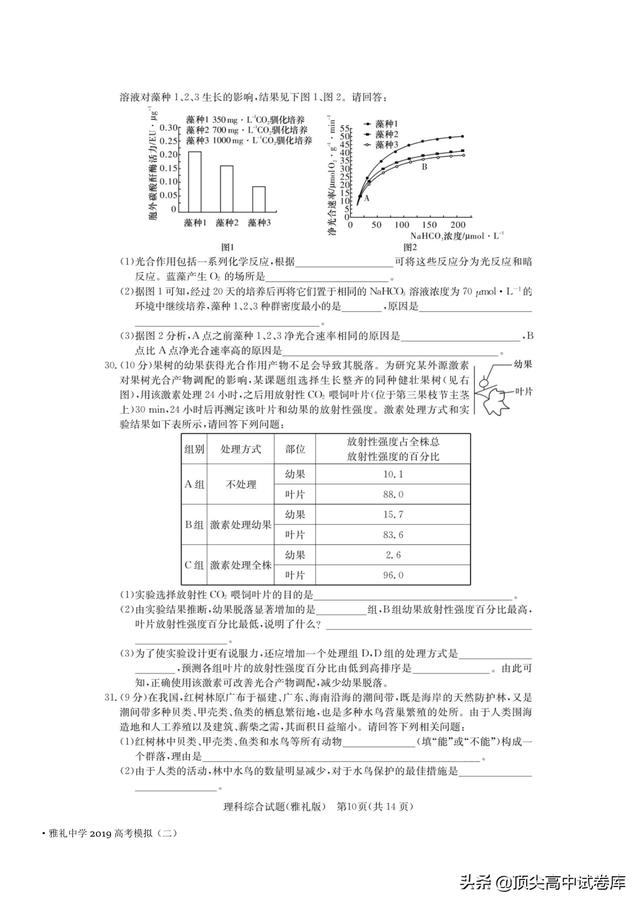 湖南省长沙市雅礼中学2019届高三下学期二模理科综合试题